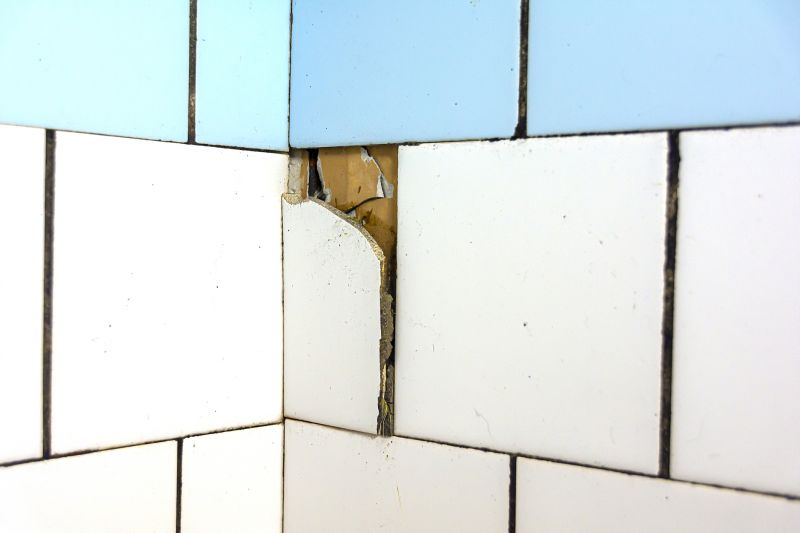 Reliable Tile Repair Services